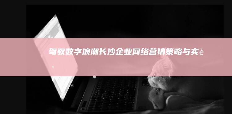 驾驭数字浪潮：长沙企业网络营销策略与实践